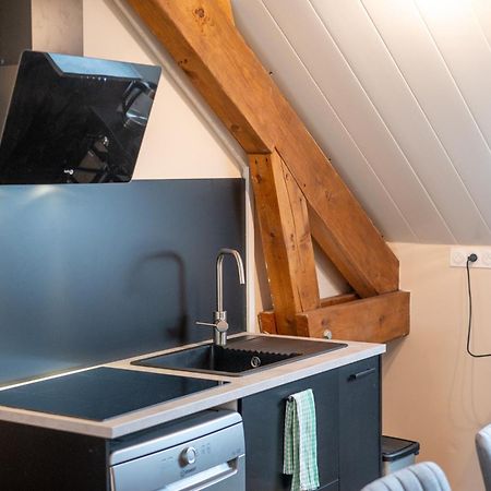 Appartement Balneo-Detente Sainte-Helene-du-Lac Zewnętrze zdjęcie